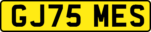 GJ75MES