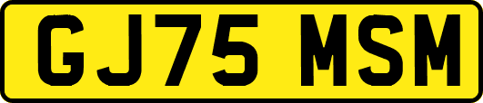 GJ75MSM