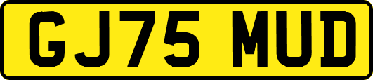 GJ75MUD