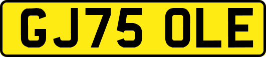 GJ75OLE