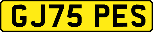 GJ75PES