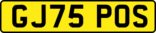 GJ75POS