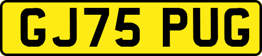 GJ75PUG