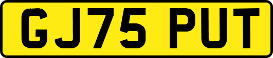 GJ75PUT