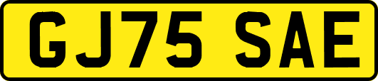 GJ75SAE