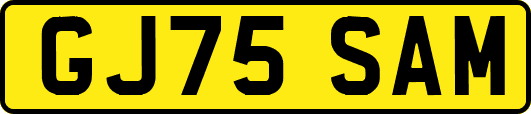 GJ75SAM