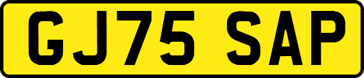 GJ75SAP