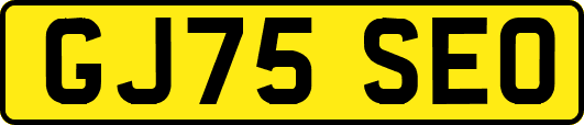 GJ75SEO