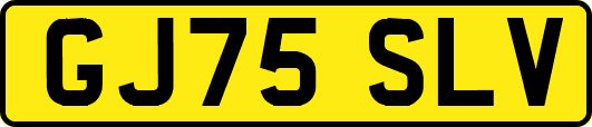 GJ75SLV