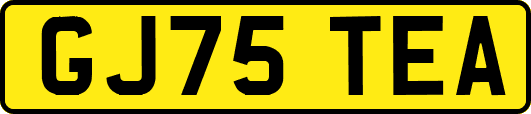 GJ75TEA