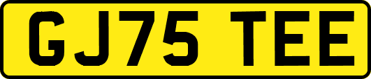 GJ75TEE