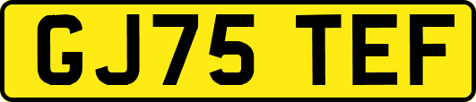 GJ75TEF
