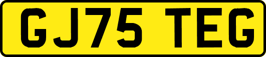 GJ75TEG