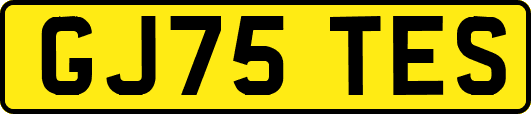 GJ75TES
