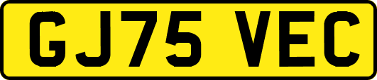 GJ75VEC
