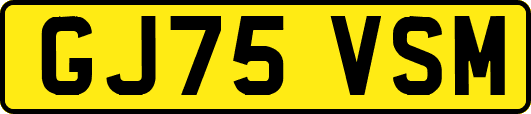 GJ75VSM