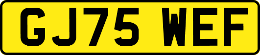 GJ75WEF