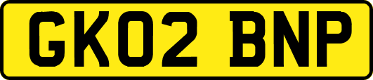 GK02BNP