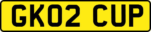 GK02CUP