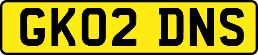 GK02DNS