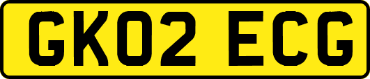 GK02ECG
