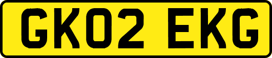 GK02EKG