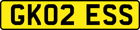 GK02ESS