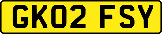 GK02FSY