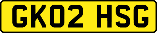 GK02HSG
