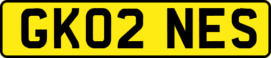 GK02NES