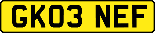 GK03NEF