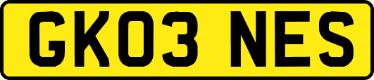 GK03NES