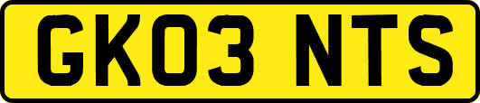 GK03NTS