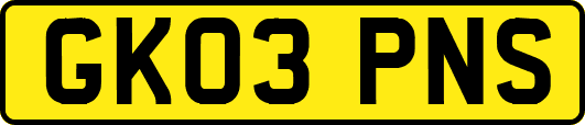 GK03PNS