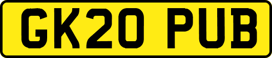 GK20PUB