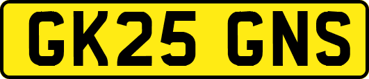 GK25GNS