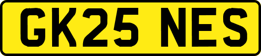 GK25NES