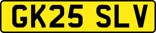 GK25SLV