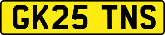 GK25TNS