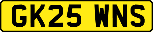 GK25WNS