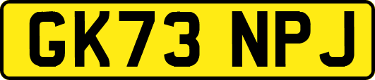 GK73NPJ