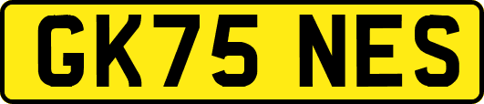GK75NES