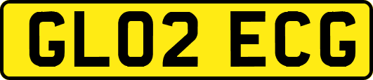 GL02ECG