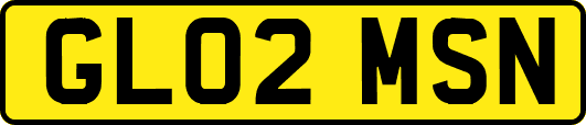 GL02MSN