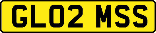 GL02MSS
