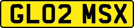 GL02MSX