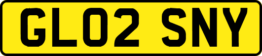 GL02SNY