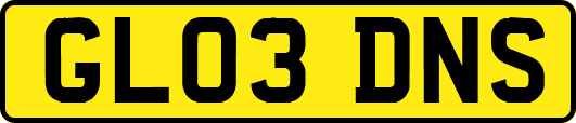 GL03DNS