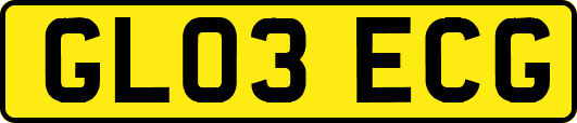 GL03ECG