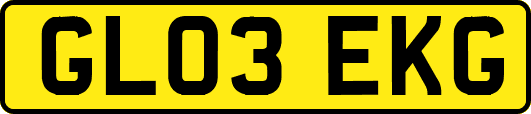 GL03EKG